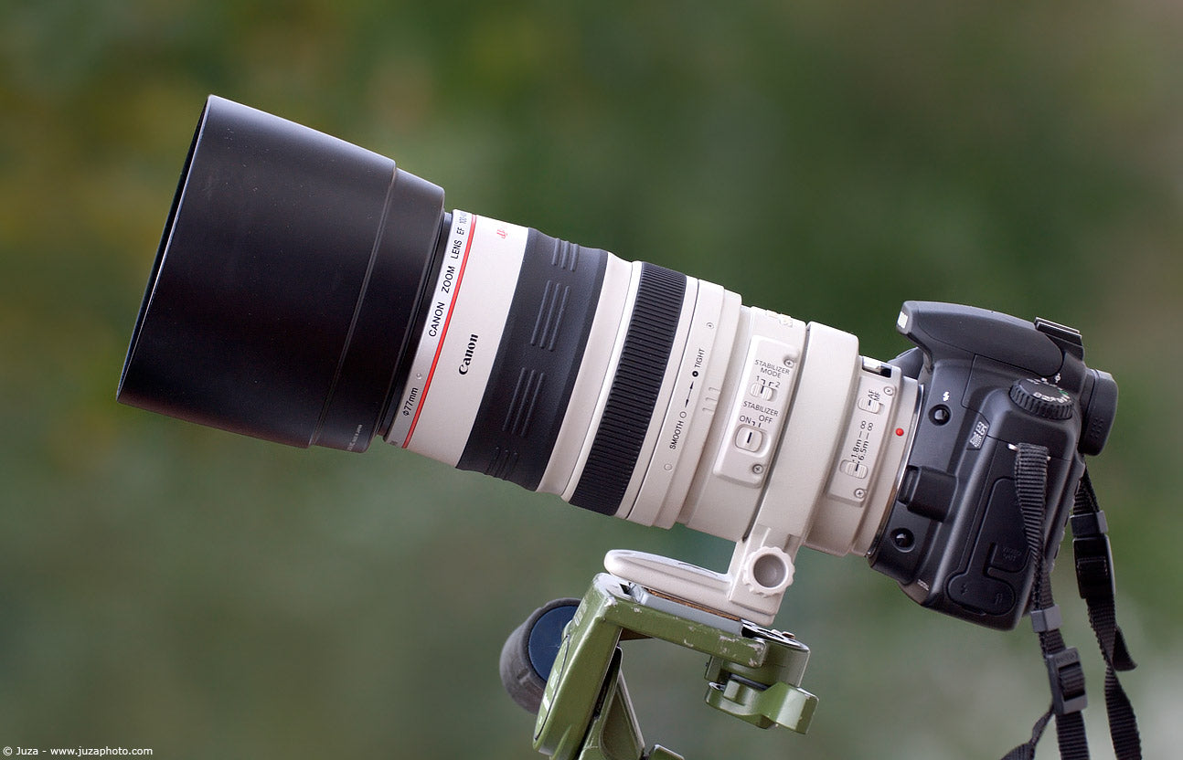 Canon EF 100-400mm f/4.5-5.6L IS II USM Telephoto Zoom Lens with Tripod Collar & Accessories Kit - Professional Wildlife, Sports & Nature Photography