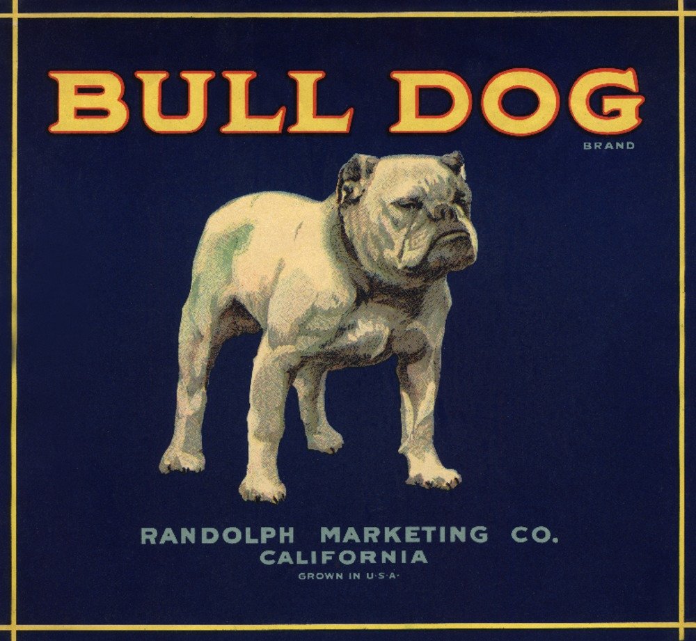 Vintage Bull Dog Head California Citrus Crate Label - 12x18 Inch Retro Wall Art Poster for Home, Office & Bar Decor - Perfect for Farmhouse, Vintage & Industrial Style Rooms