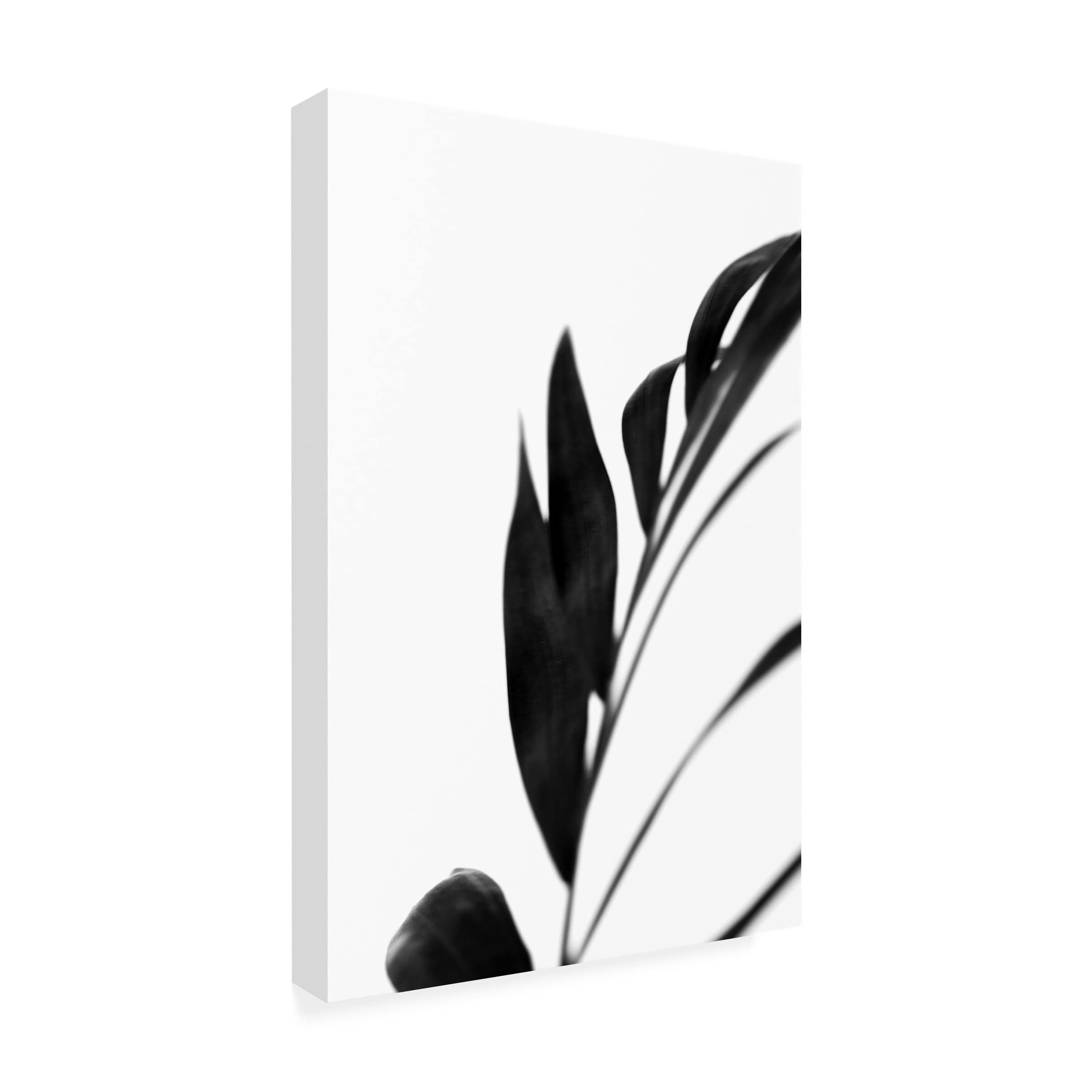 Renee W Stramel 'Black Palms III' Framed Canvas Wall Art Print - Tropical Beach Decor for Living Room, Bedroom & Office