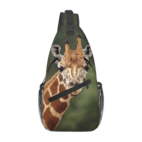 Giraffe 04