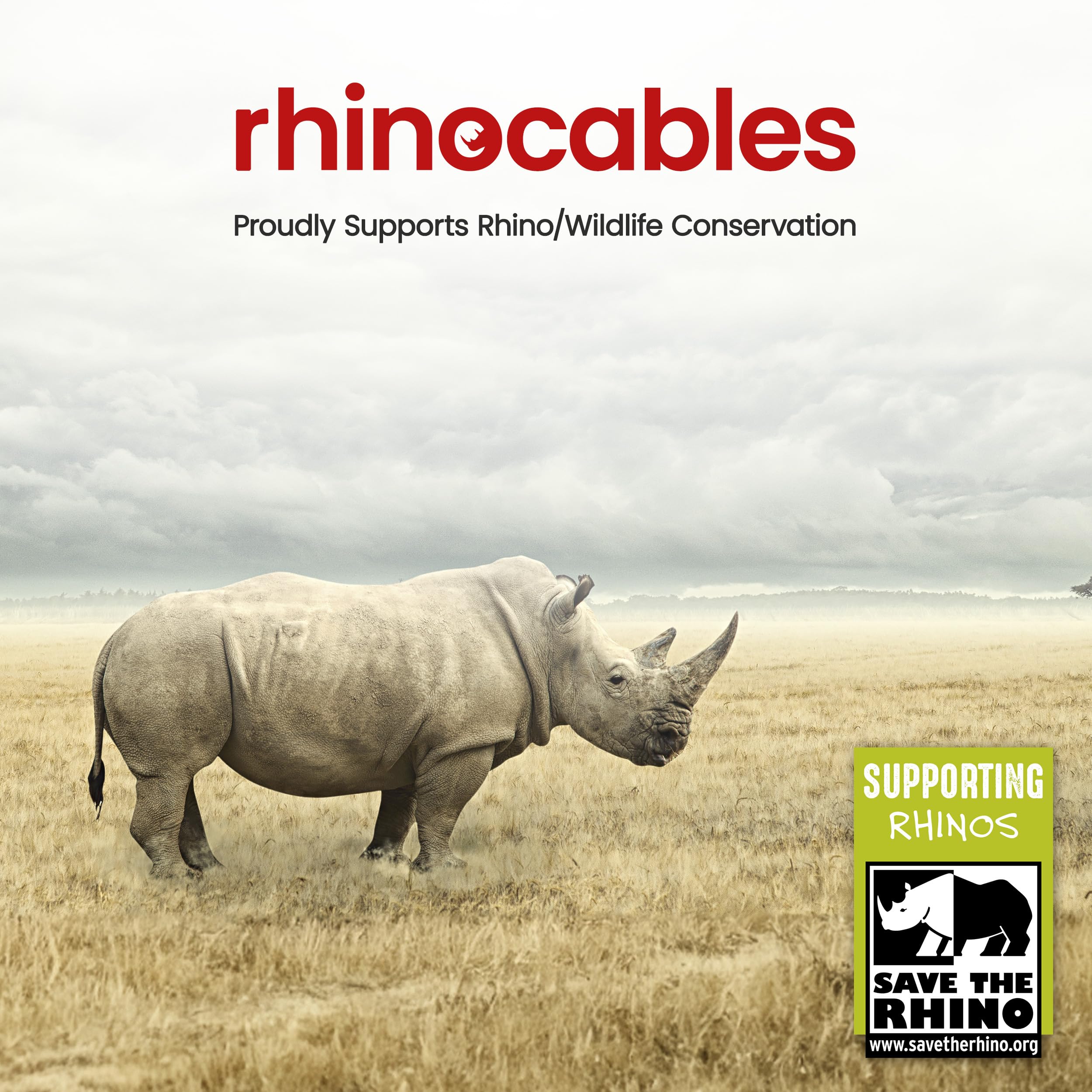 Rhinocables USB 3.0 Printer Cable A Male to B Male 3m - High Speed Data Transfer for Printers, Scanners, External Hard Drives - Compatible with HP, Brother, Dell, Epson (Black) | Perfect for Home Office, Small Business & Professional Printing Setup