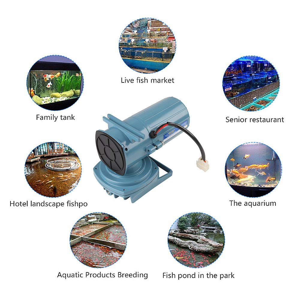 Yosoo 35W Commercial Air Pump for Aquarium, Fish Tank, Pond & Hydroponics - 12V DC Oxygen Aerator for Fish Farming, Aquaculture & Fountain Use - Perfect for Home Aquariums, Outdoor Ponds & Hydroponic Systems