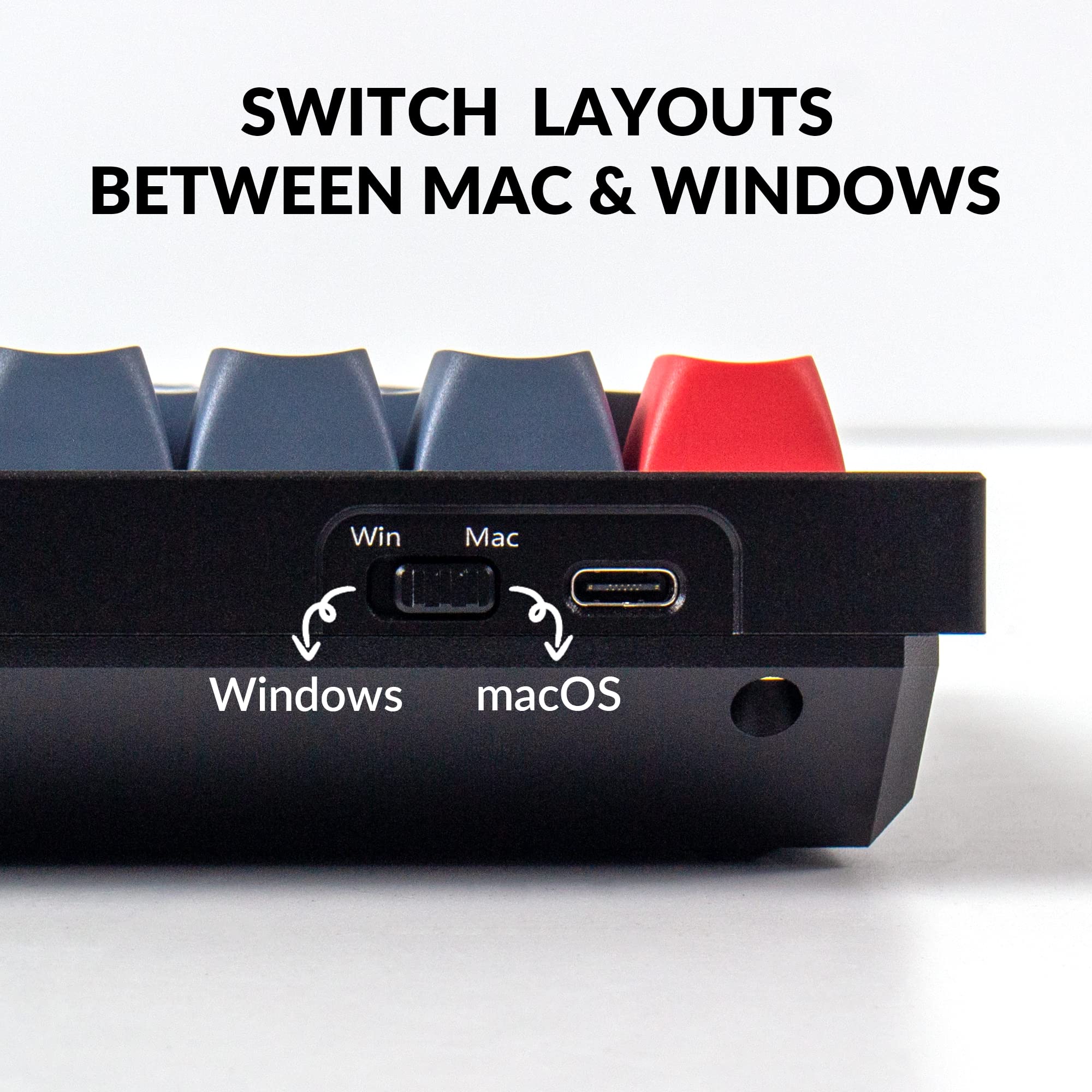 Keychron Q4 60% Wired Custom Mechanical Keyboard - Hot-Swappable Gateron G Pro Red Switches, QMK/VIA Programmable, Double Gasket Design for Mac/Windows/Linux (Black) | Perfect for Gaming, Coding & Office Work