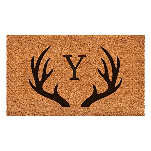 Y
