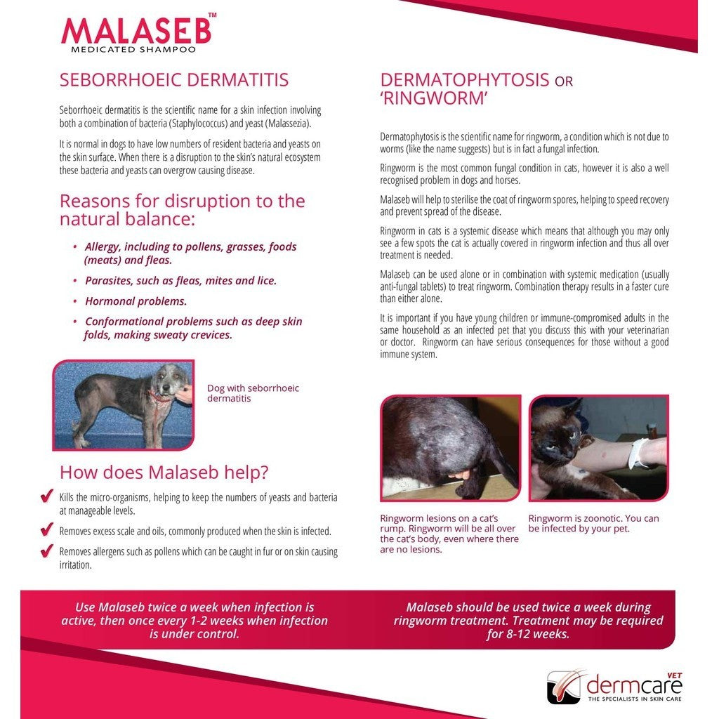 Dermcare Malaseb Medicated Shampoo for Dogs & Cats - 200ml & 1L Sizes | Aloveen Oatmeal Shampoo & Conditioner Set - 500ml & 1L | Vet-Recommended Pet Care Solution for Skin Irritations & Allergies - Perfect for Bathing & Grooming at Home