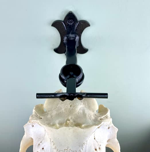 Adjustable Bull Bracket European Elk Skull Hanger Mount Kit - Heavy Duty 100+ lb Capacity for Elk, Moose, Caribou, Buffalo & Cattle Taxidermy - Oil Rubbed Bronze Wall Mount - Made in USA - Perfect for Hunting Lodges, Cabin Decor & Trophy Displays