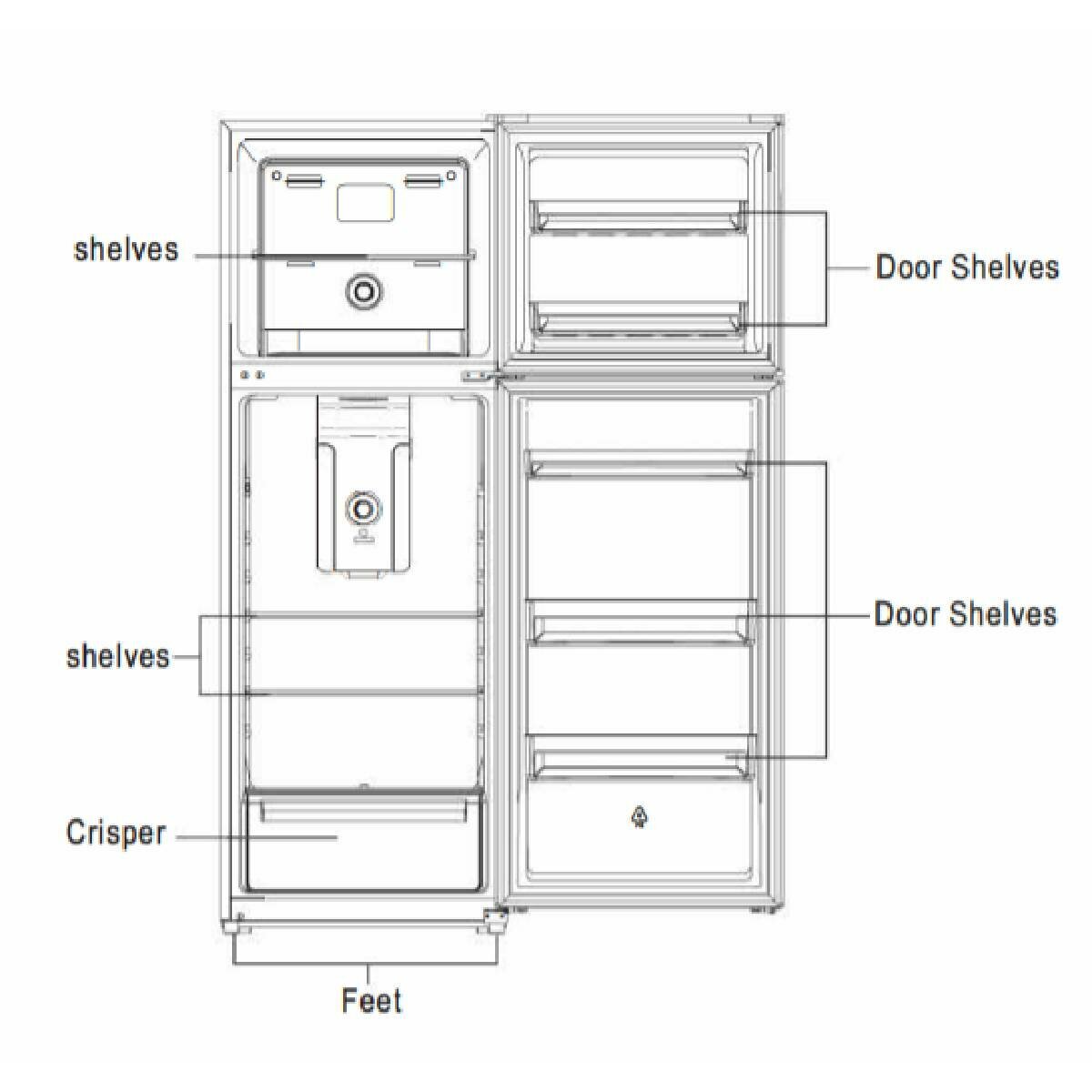 TCL 338L Top Mount Refrigerator P362TMW - Energy Efficient Freezer with Adjustable Shelves, Perfect for Apartments, Dorms & Small Kitchens