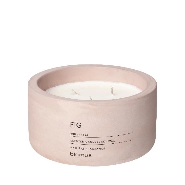 Rose Dust Container - Fig 3 Wick