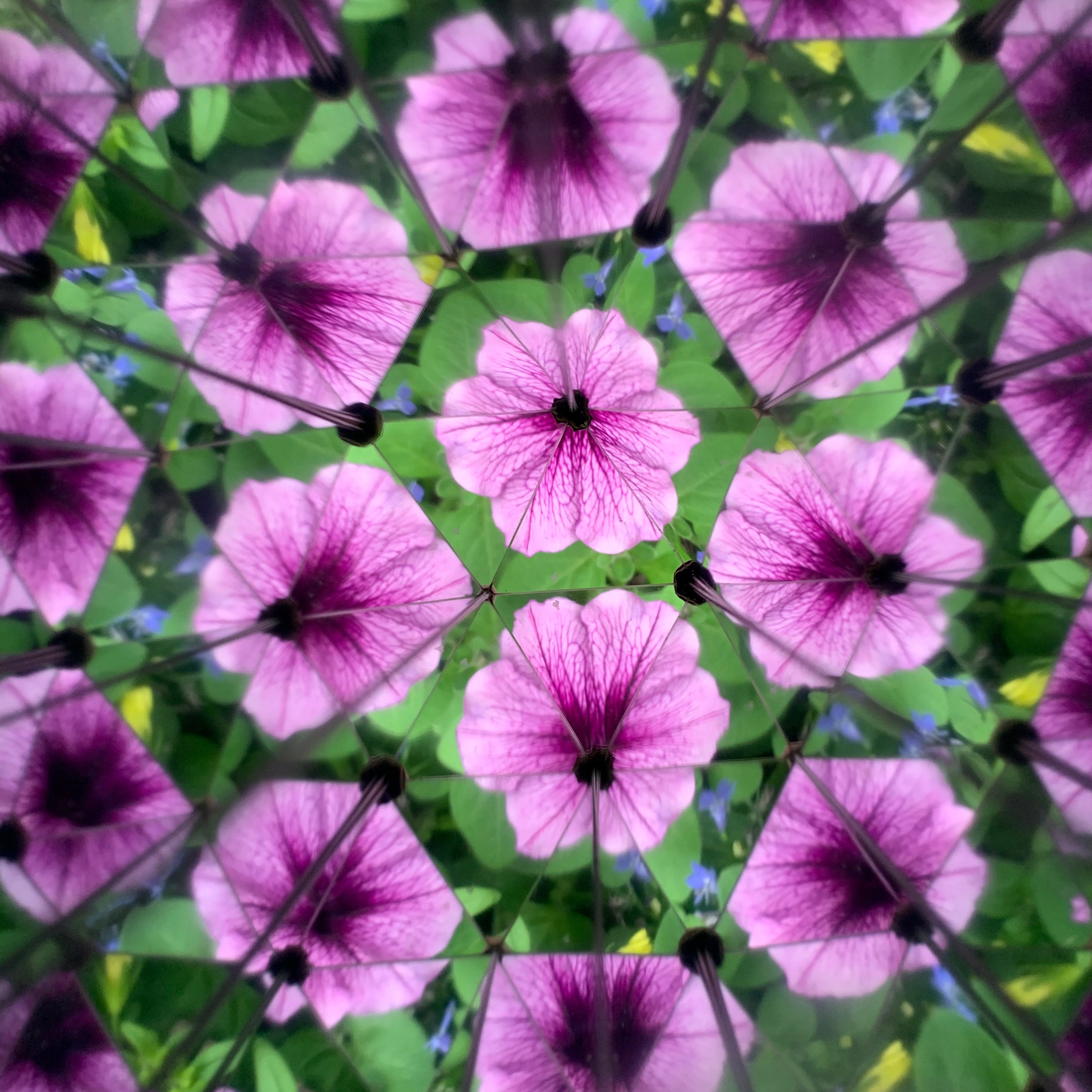 Huckleberry Kaleidoscope - Colorful & Unique Kaleidoscope Toy for Kids & Adults | Perfect for Sensory Play, Stress Relief & Creative Inspiration