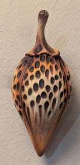 Andy Rogers Ceramics Medium Wall Seed Planter #AR46 - Handmade Ceramic Pot for Indoor Plants, Succulents & Home Decor | Perfect for Living Room, Kitchen & Office