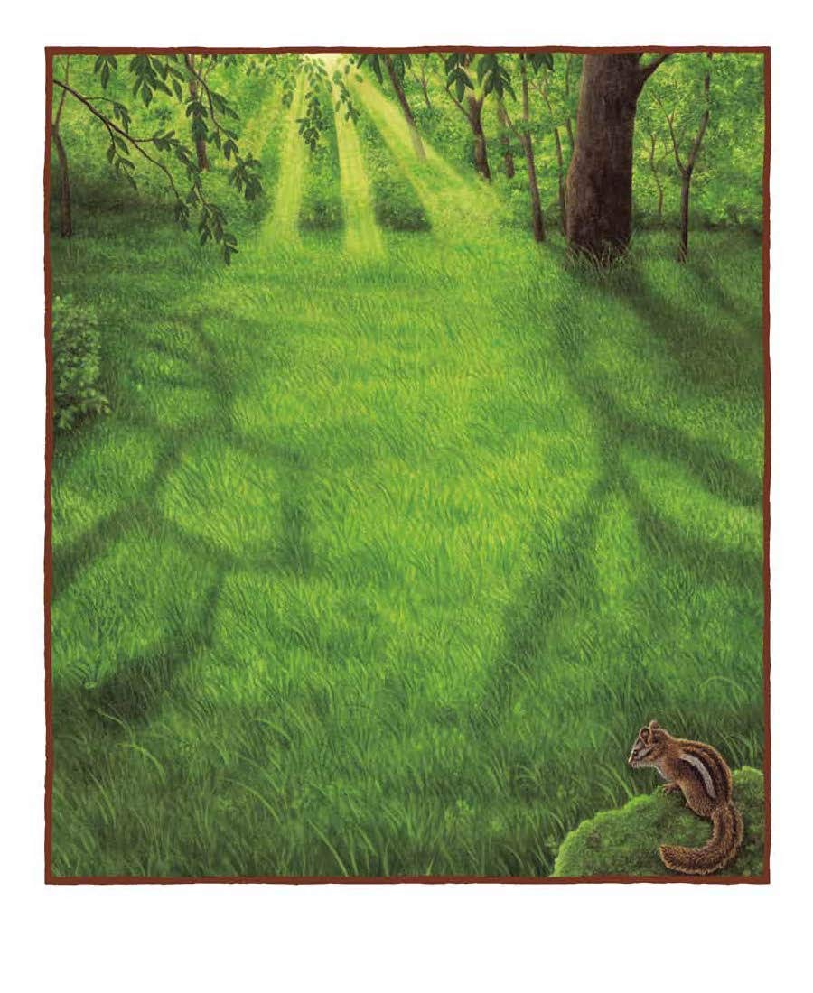 Forest Bright, Forest Night - Beautiful Nature-Themed Wall Art for Home & Office Decor | Perfect for Living Rooms, Bedrooms, and Nurseries
