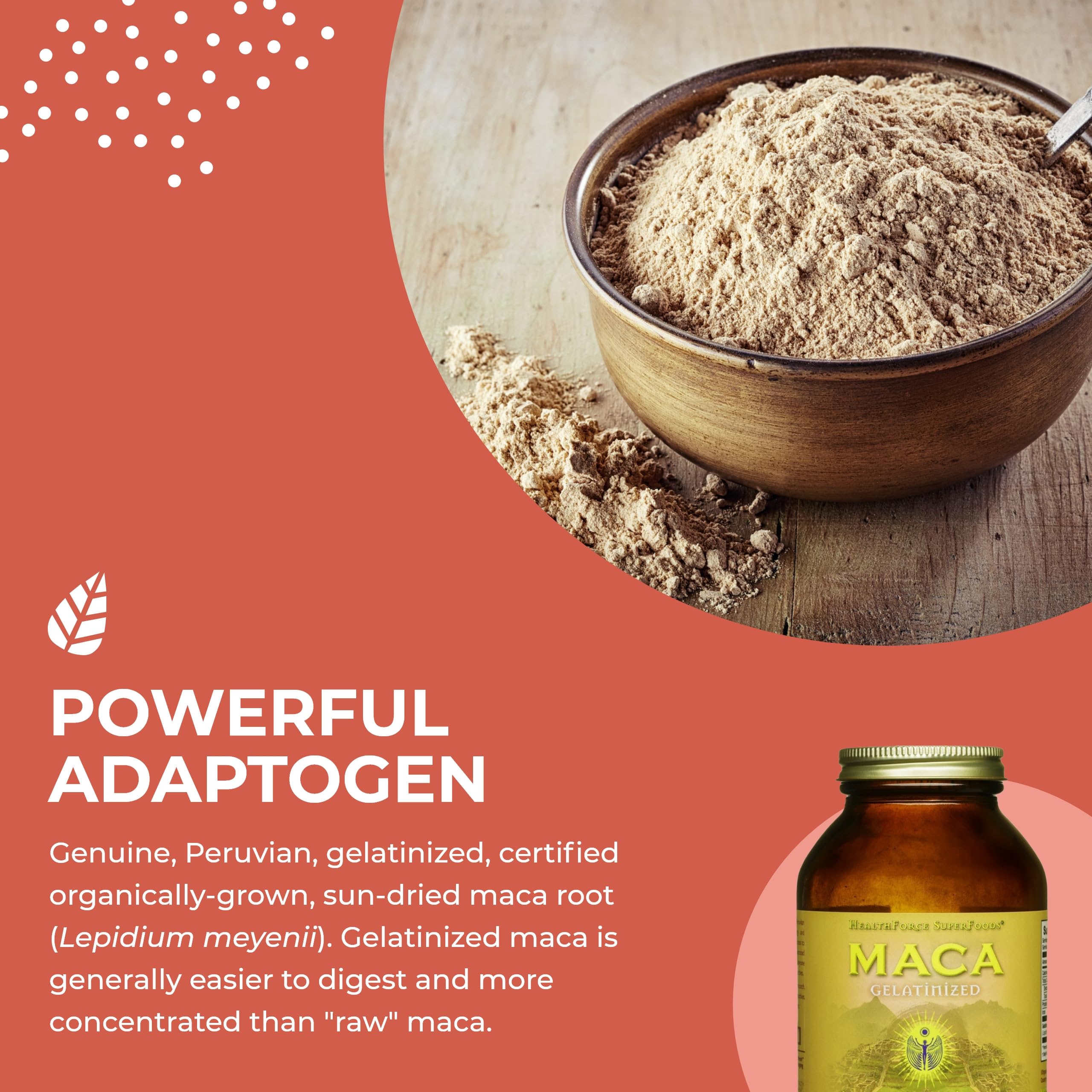 HealthForce SuperFoods Gelatinized Maca Powder - 8 Oz Organic Peruvian Maca Root for Energy, Hormone Balance & Stress Relief - Perfect for Smoothies, Baking & Wellness Drinks