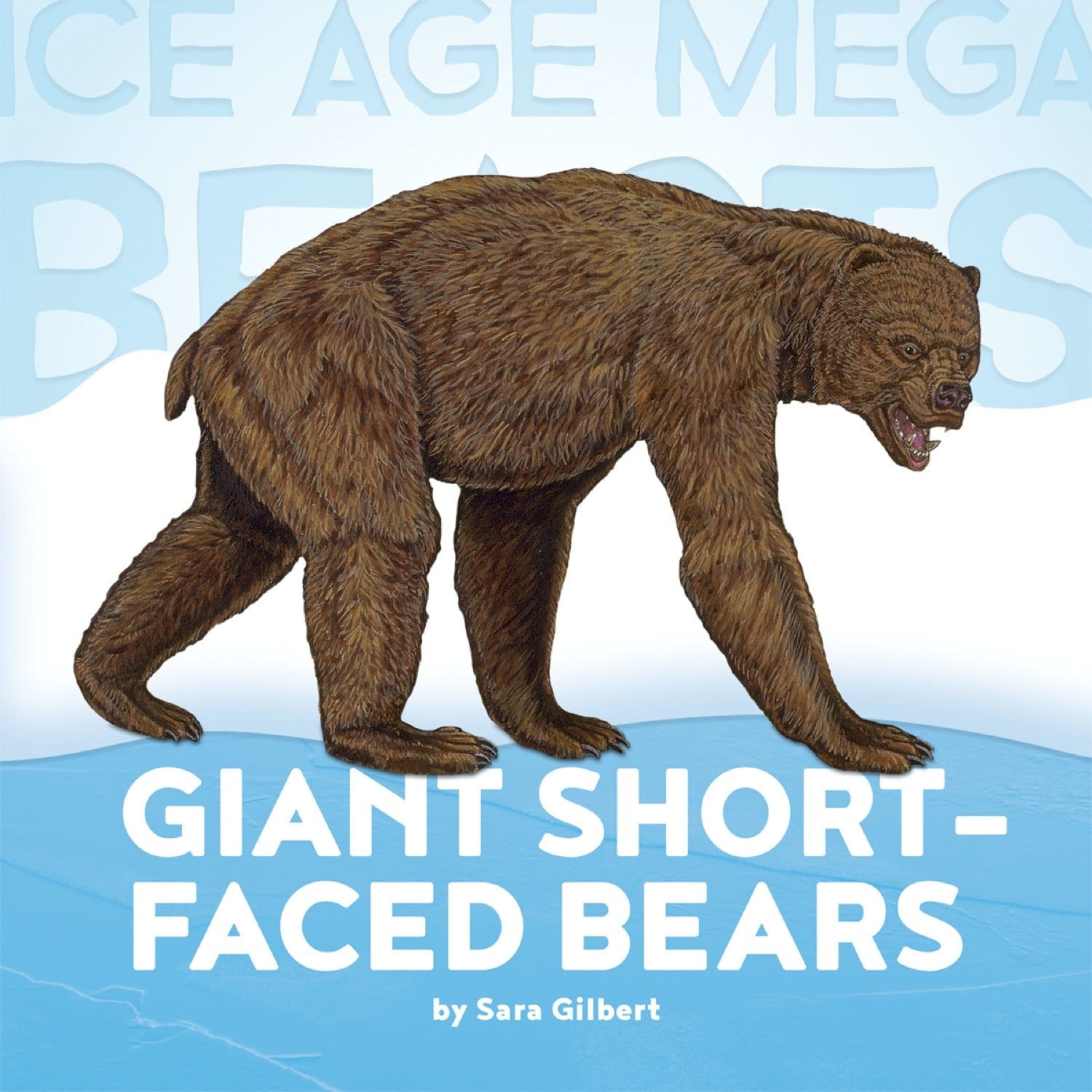 Giant Short-Faced Bears - Prehistoric Ice Age Predator for Collectors, Museum Displays & Educational Use
