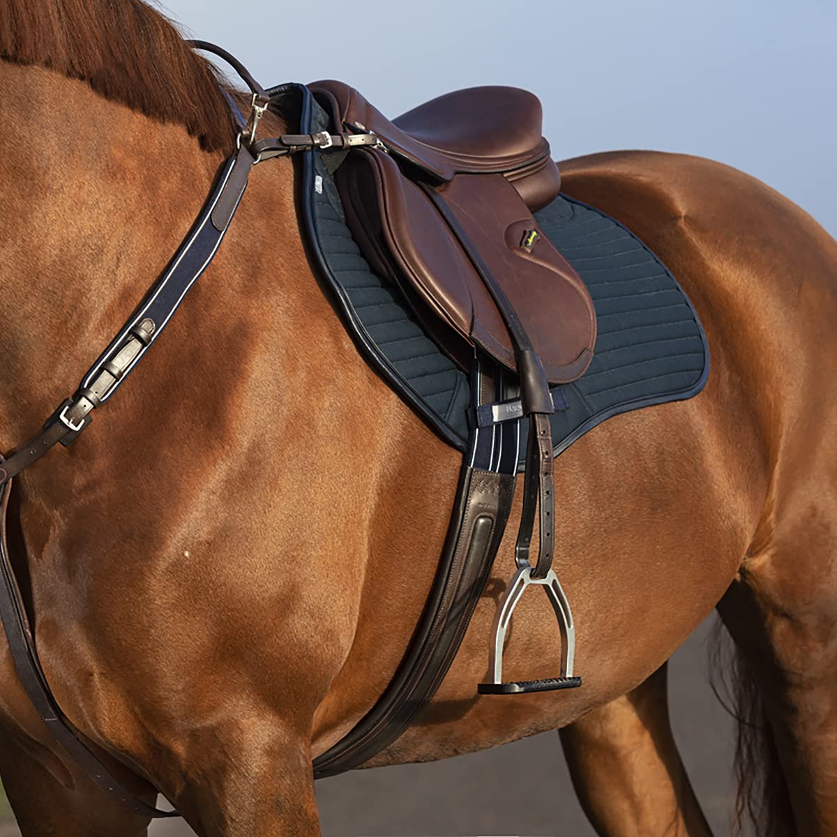 Horseware Rambo Micklem Competition Breastplate for Horses - Premium Brown Leather Standard Size - Perfect for Show Jumping, Dressage & Trail Riding