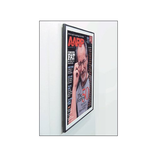 24x48 Poster Frame - Classic Swing Open Display Frame with Matboard - Perfect for Art Prints, Photos, and Posters in Home, Office, or Gallery Decor