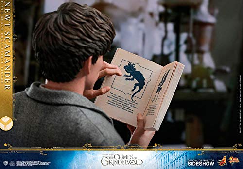 Hot Toys 1:6 Scale Newt Scamander Collectible Action Figure - Fantastic Beasts: The Crimes of Grindelwald Movie Character Model - Perfect for Display, Gift Giving, and Fantasy Collectors