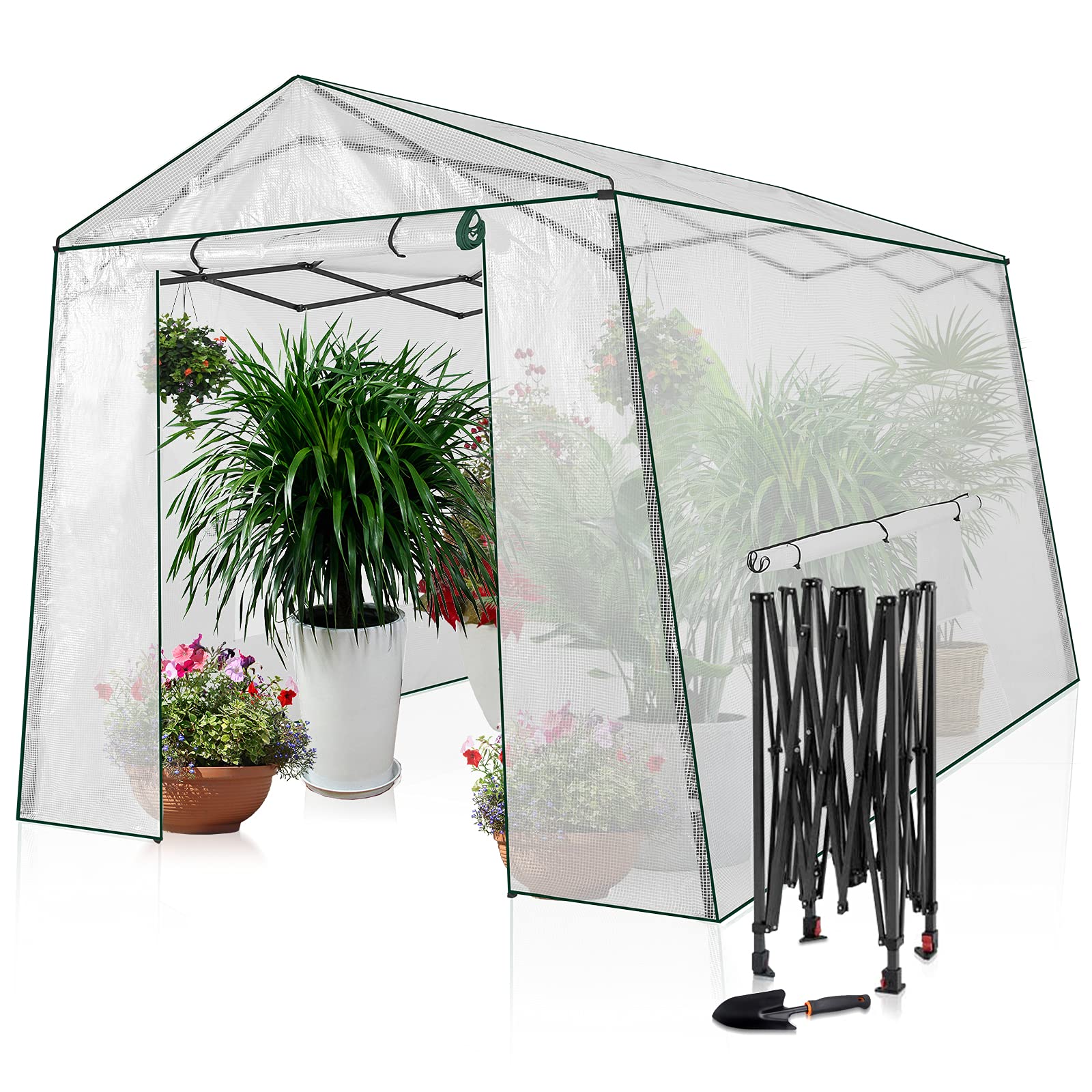 8.5 Ft x 7 Ft Walk-in Greenhouse with Roll-up Zipper Doors & 3 Large Windows - Portable Pop-up Outdoor Plant Canopy for Gardening, Vegetables & Flowers (Medium, Clear) | Perfect for Backyard, Patio & Small Farm Use