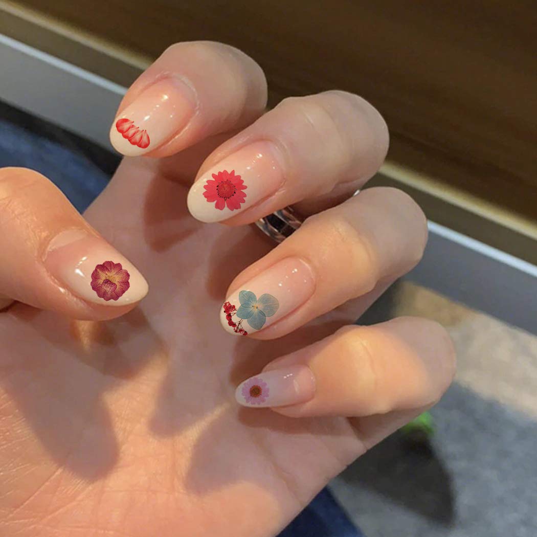 SOWUNO 3 Box Pressed Flower Nail Art Kit - 3D Mini Dried Flowers for Nail Decoration, DIY Crafts, Scrapbooking & Home Decor | Perfect for Wedding, Party & Gift Giving