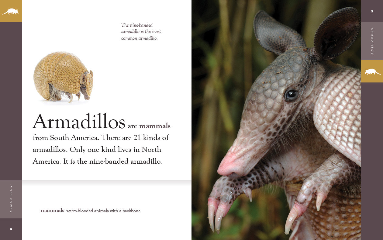Armadillos Book - 9781640265592 - Learn About Armadillos Facts, Habitat & Behavior - Perfect for Animal Lovers, Students & Wildlife Enthusiasts