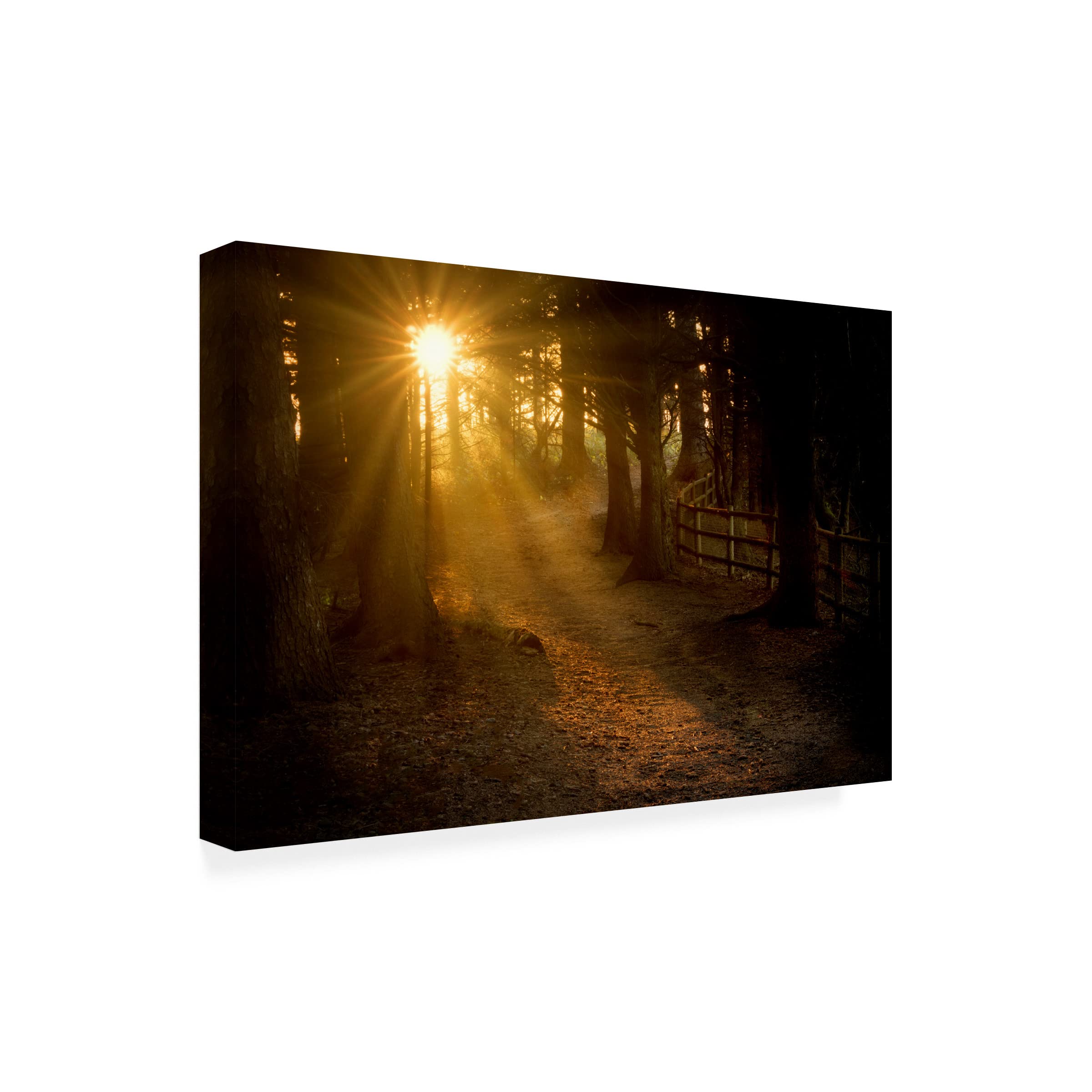 Dennis Frates 'Path' Canvas Wall Art - Stunning Landscape Painting for Home & Office Decor - Perfect for Living Room, Bedroom or Office Spaces