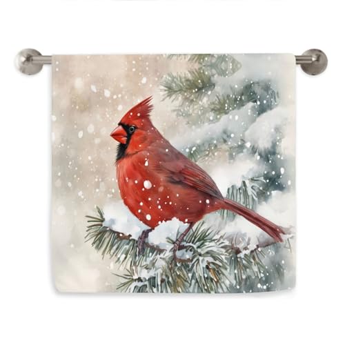 Winter Cardinal Bird