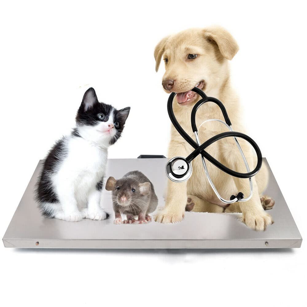 Digital Postal Scale with Tare Function - 200kg/440lb Heavy Duty Stainless Steel Shipping Scale for Packages, Livestock, Pets (Dog, Cat, Sheep, Goat) - Portable Veterinary & Hog Scale for Home, Farm & Shipping Businesses
