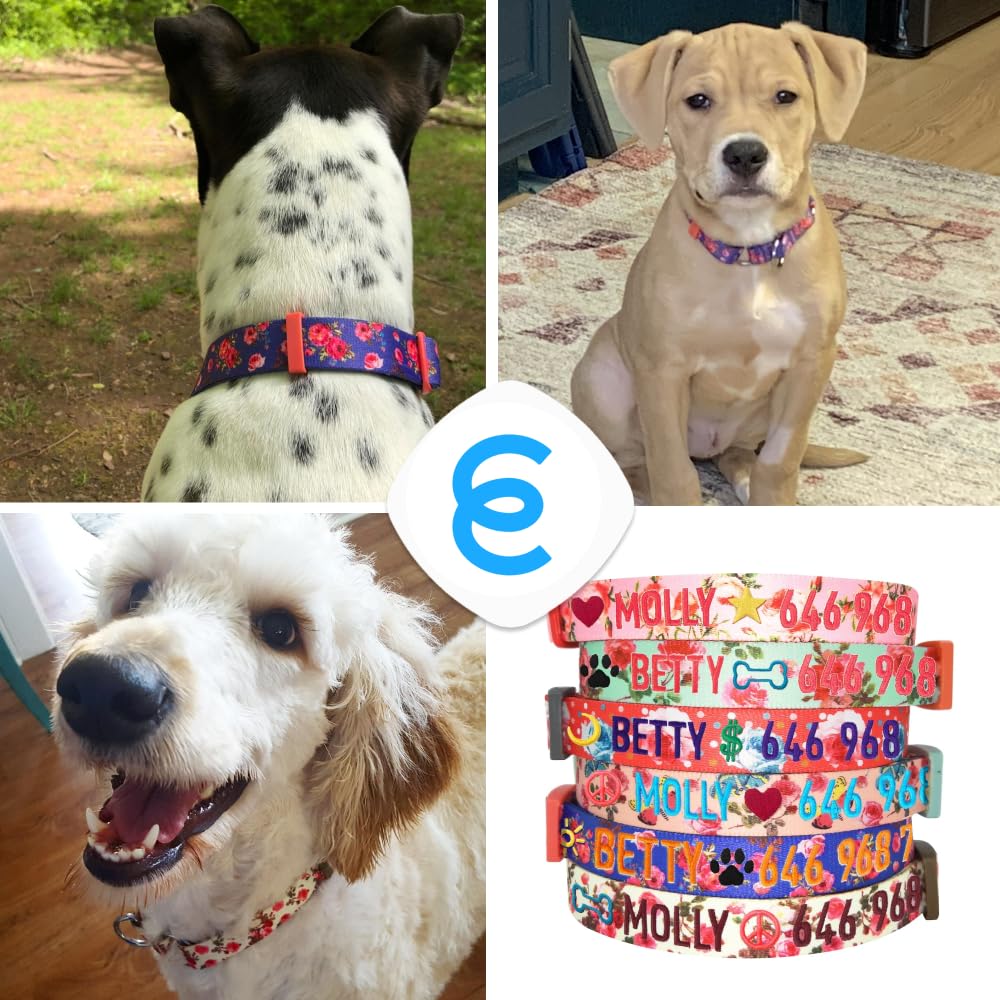 Blueberry Pet Personalized Martingale Safety Training Dog Collar - Adjustable Custom ID Collar for Medium Dogs with Embroidered Pet Name & Phone Number | Turquoise Color | Perfect for Walks, Training & Outdoor Adventures