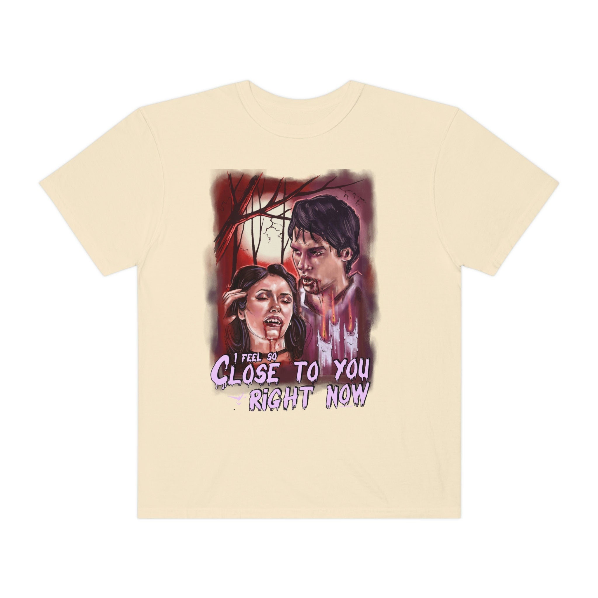 Team Delena Shirt | The Vampire Diaries Damon Salvatore T-Shirt | TVD Merch & Fan Gift | Salvatore Brothers Apparel | Perfect for Cosplay, Halloween & Vampire Diaries Fans