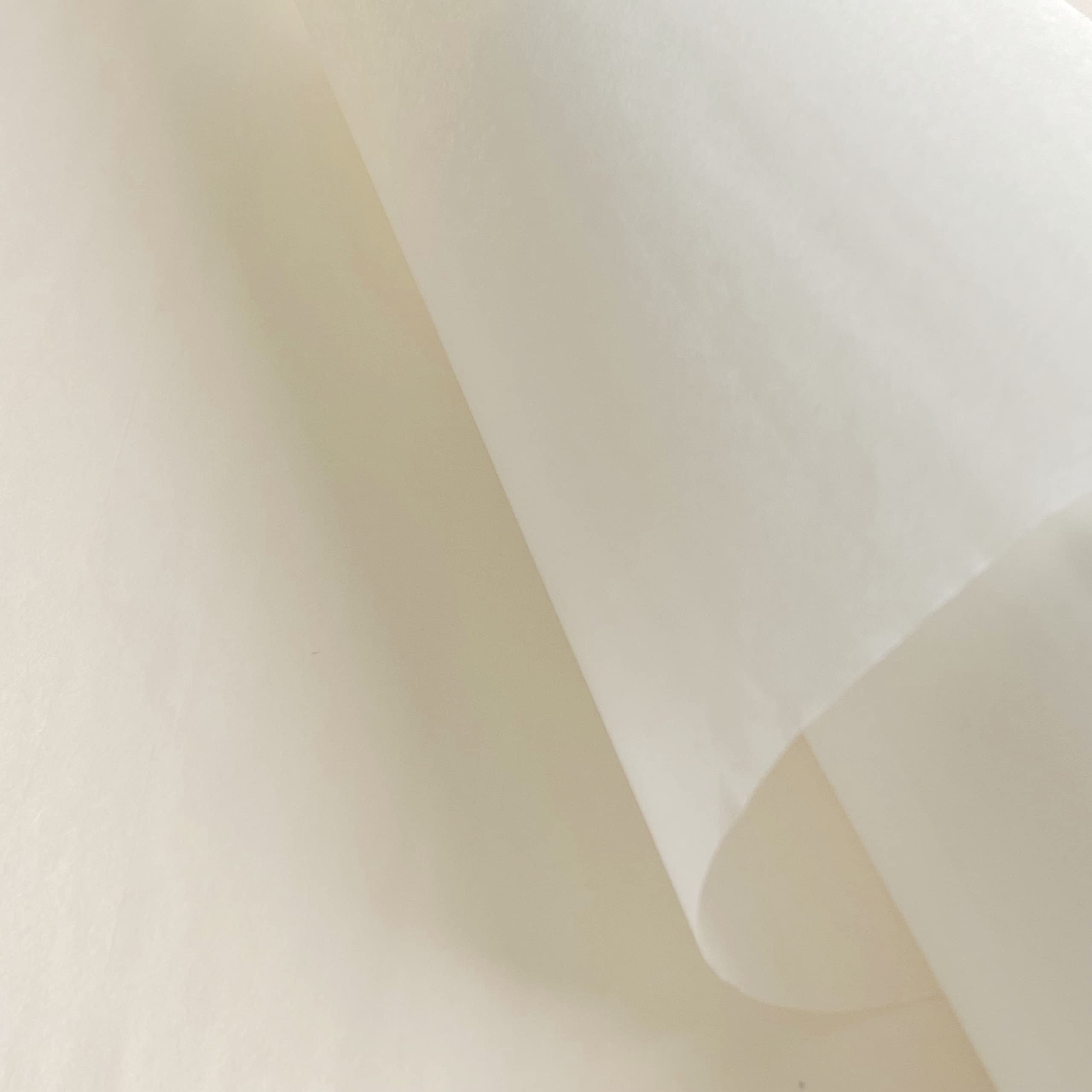 24 Sheets Ivory Gift Wrapping Tissue Paper 20