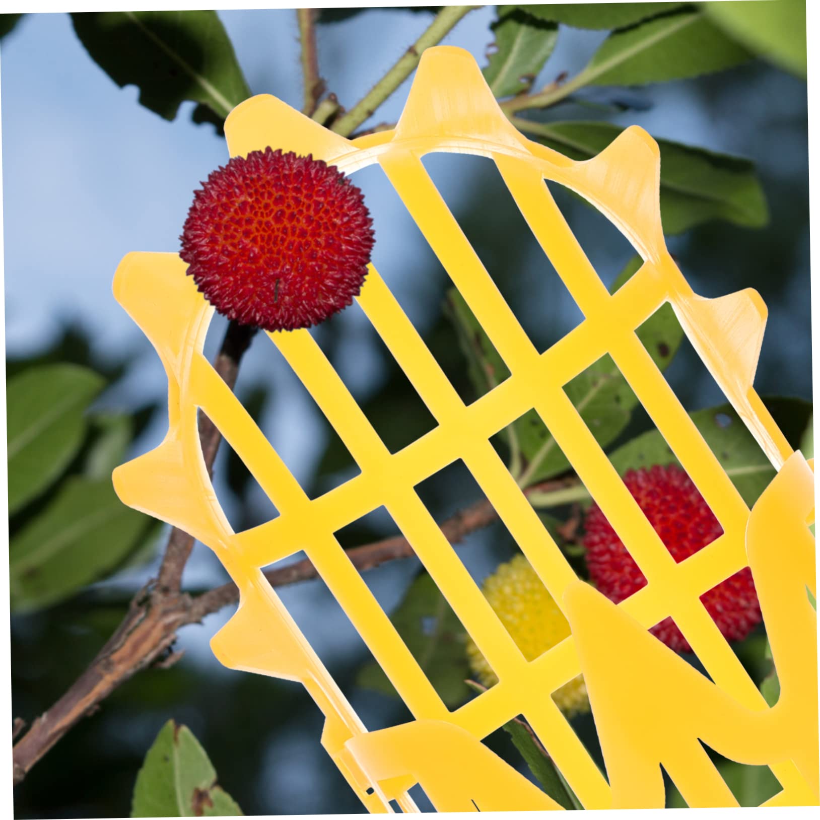 1 Pc Large Anti-Scuff Fruit Picker Basket - Long Reach Nut Gatherer for Pecan, Chestnut, Bayberry & Dates (Yellow) - Perfect for Harvesting, Gardening and Outdoor Fruit Collection