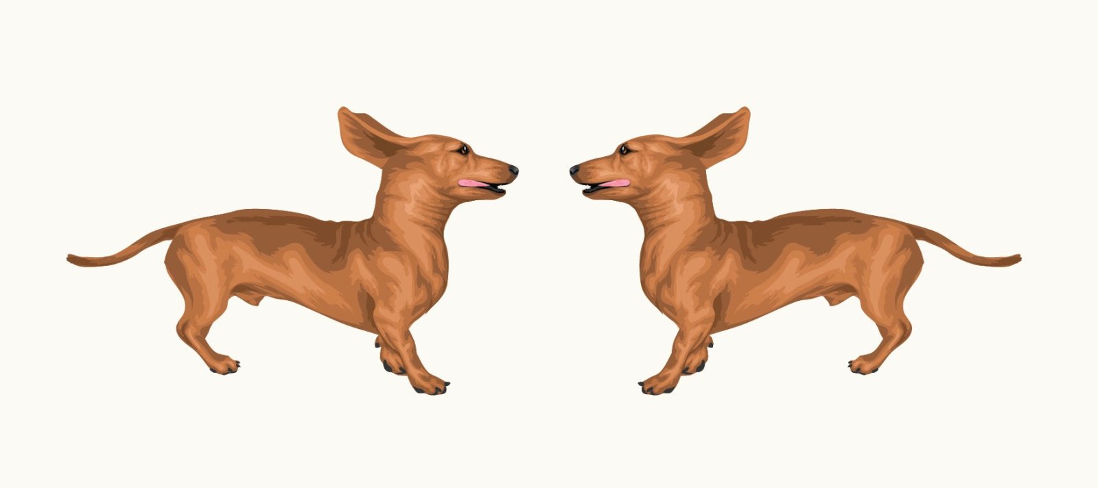 Miniature Dachshund Decal - Cute Dachshund Dog Sticker for Laptops, Cars, Windows & DIY Crafts - Waterproof Vinyl Decal for Home Decor, Gifts & Scrapbooking
