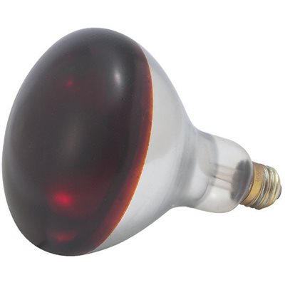 Winco 250W Red Heat Lamp Bulb Replacement for EHL 2 - Perfect for Reptile Terrariums, Chicken Coops & Pet Heating