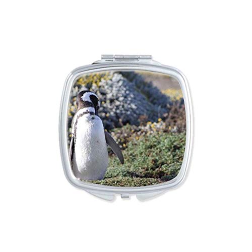 DIYthinker Portable Compact Pocket Mirror - Double Sided Glass with Cute Penguin Design, Perfect for Makeup, Travel & Gifts