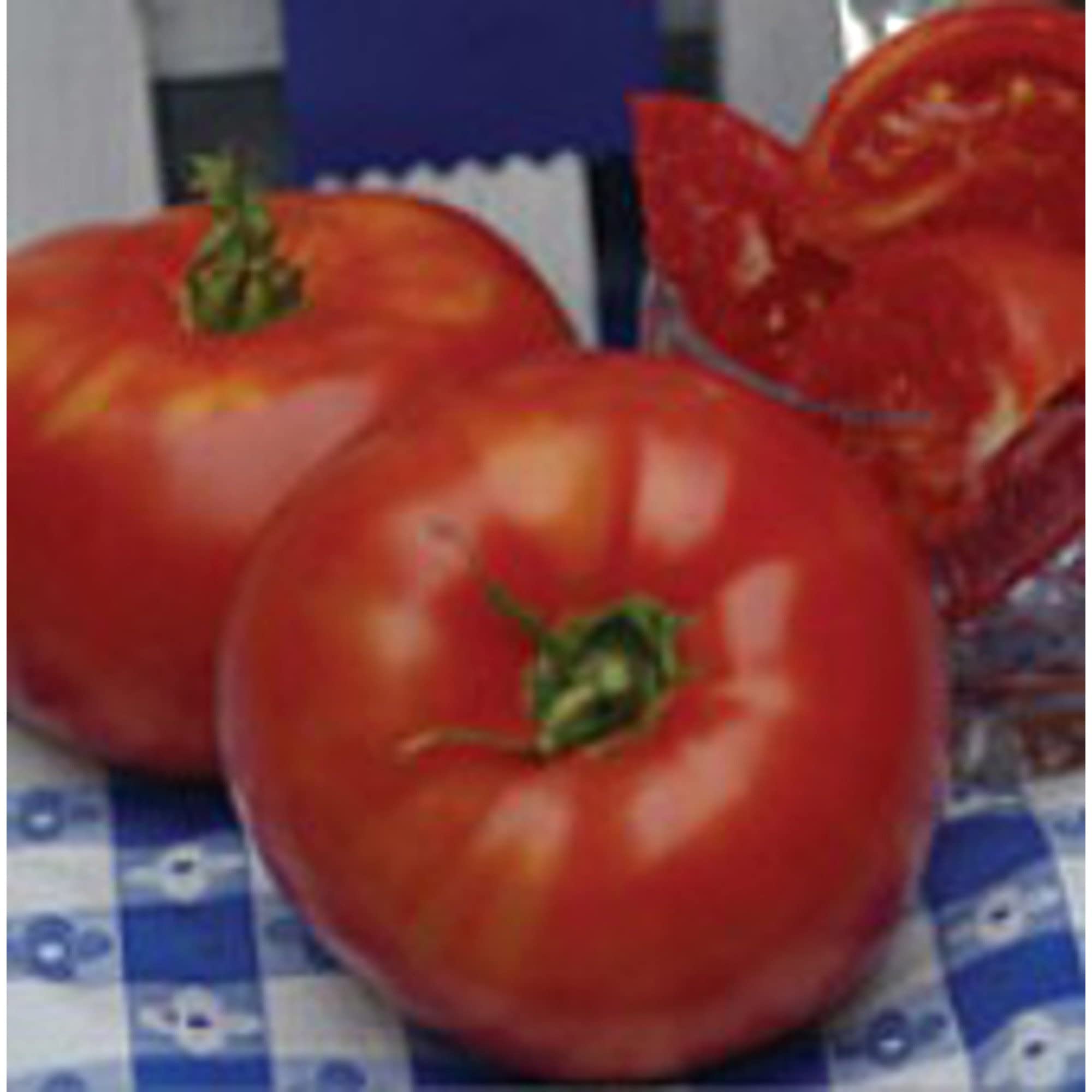 Premium Non-GMO Tomato Seeds (20+ Count) - Heirloom Vegetable Seeds for Planting Indoor/Outdoor - Perfect for Home Garden, Greenhouse & Container Gardening