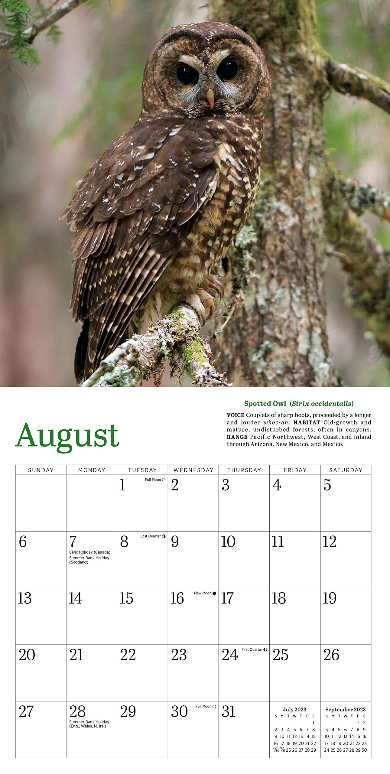 Audubon Little Owls Mini Wall Calendar 2023 - Cute Fluffy Round Owl Designs | Perfect for Home, Office, Classroom & Gift Giving