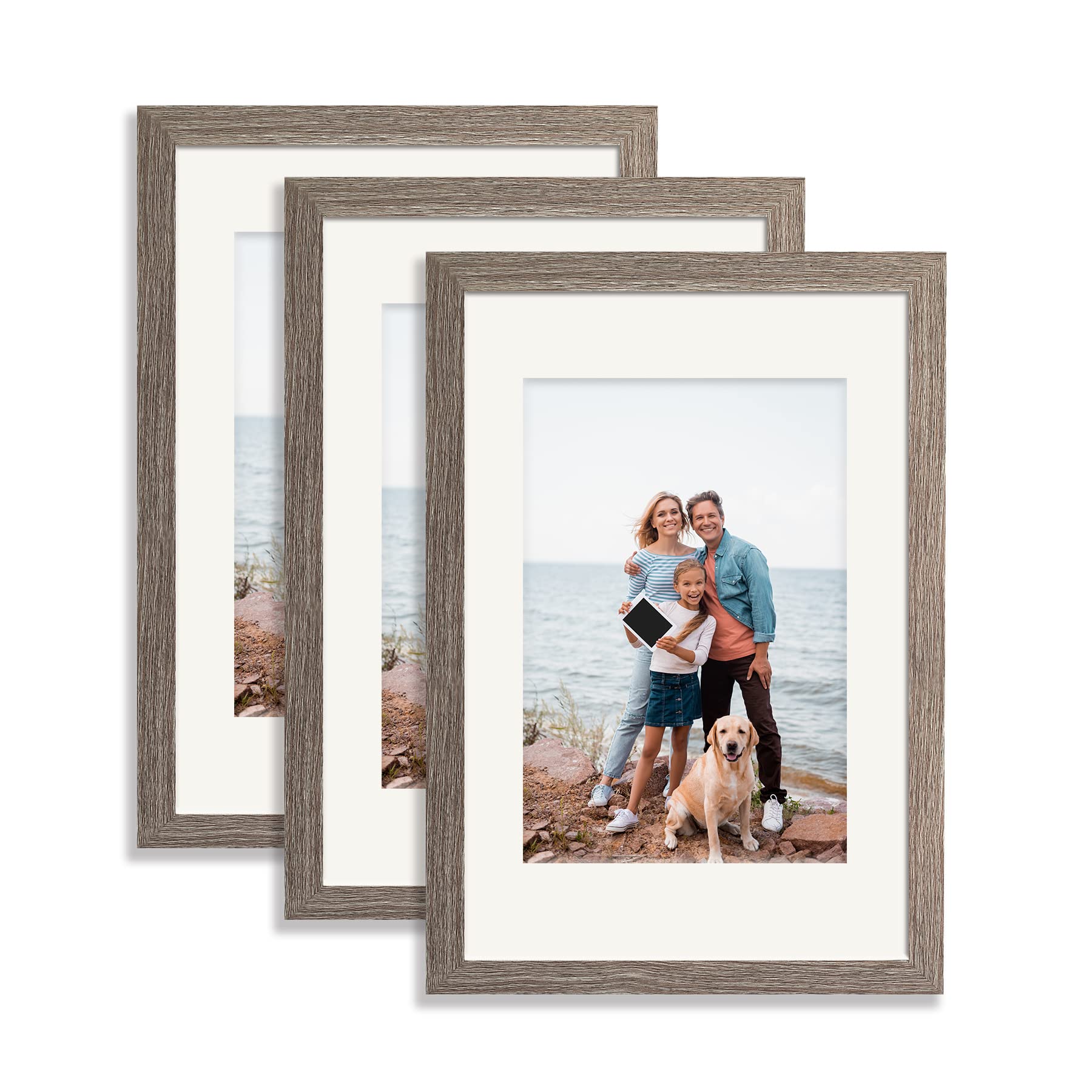 12x16 Picture Frame 3 Pack - Gray Wood Poster Frames Set for Wall Display - Holds 8.5x11 with Mat or 12x16 Without Mat - Perfect for Home Decor, Office Art & Photo Gallery Arrangements