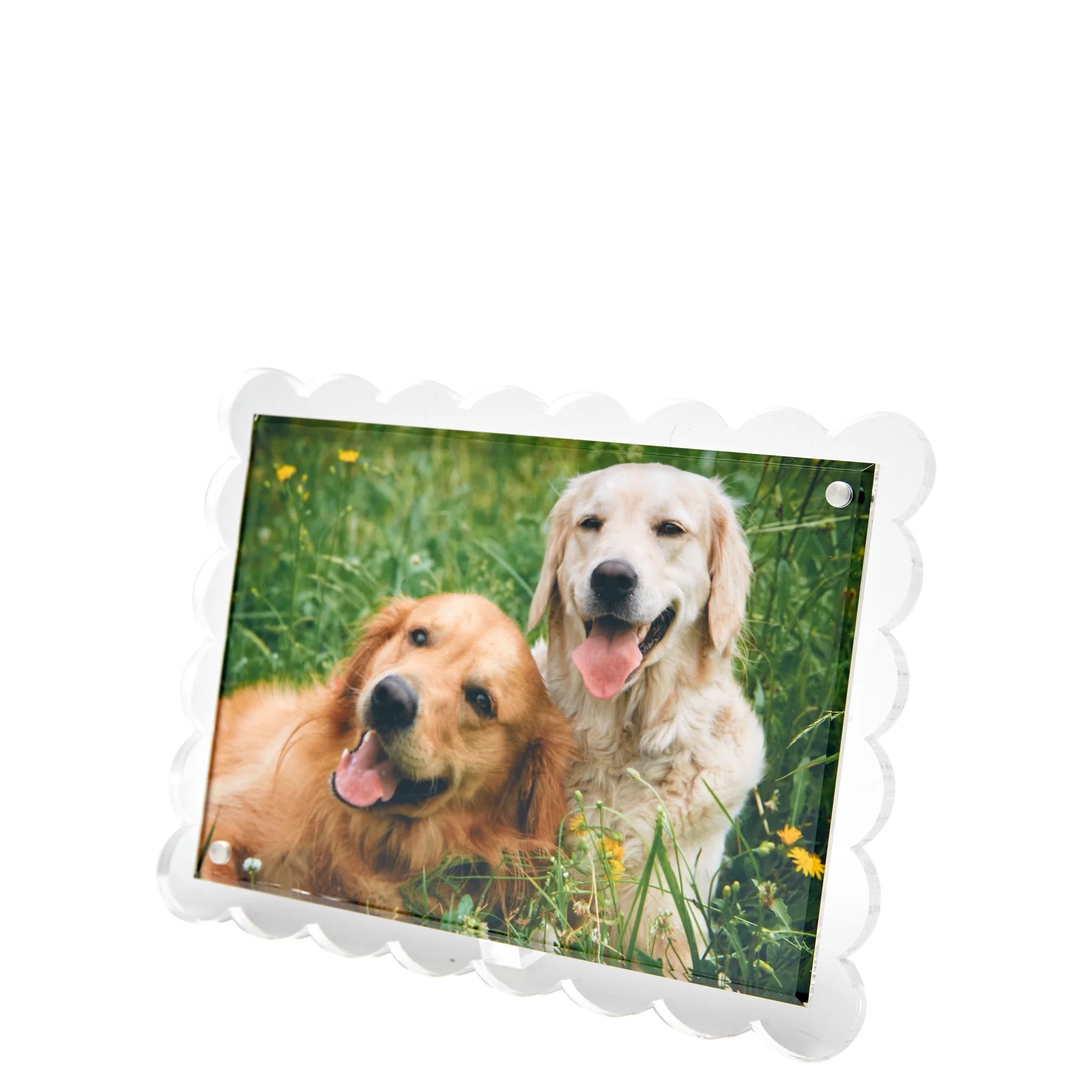 Tara Wilson Designs Clear Scallop Frame - Elegant Acrylic Photo Display for Wall Decor, Wedding, Home & Office - Perfect for Showcasing 4x6 Pictures, Memories and Artwork