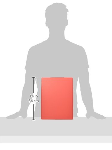 Lion DT-13C-R A4 Size Red Desk Tray Organizer - Perfect for Office, Home, School & Workspace Organization