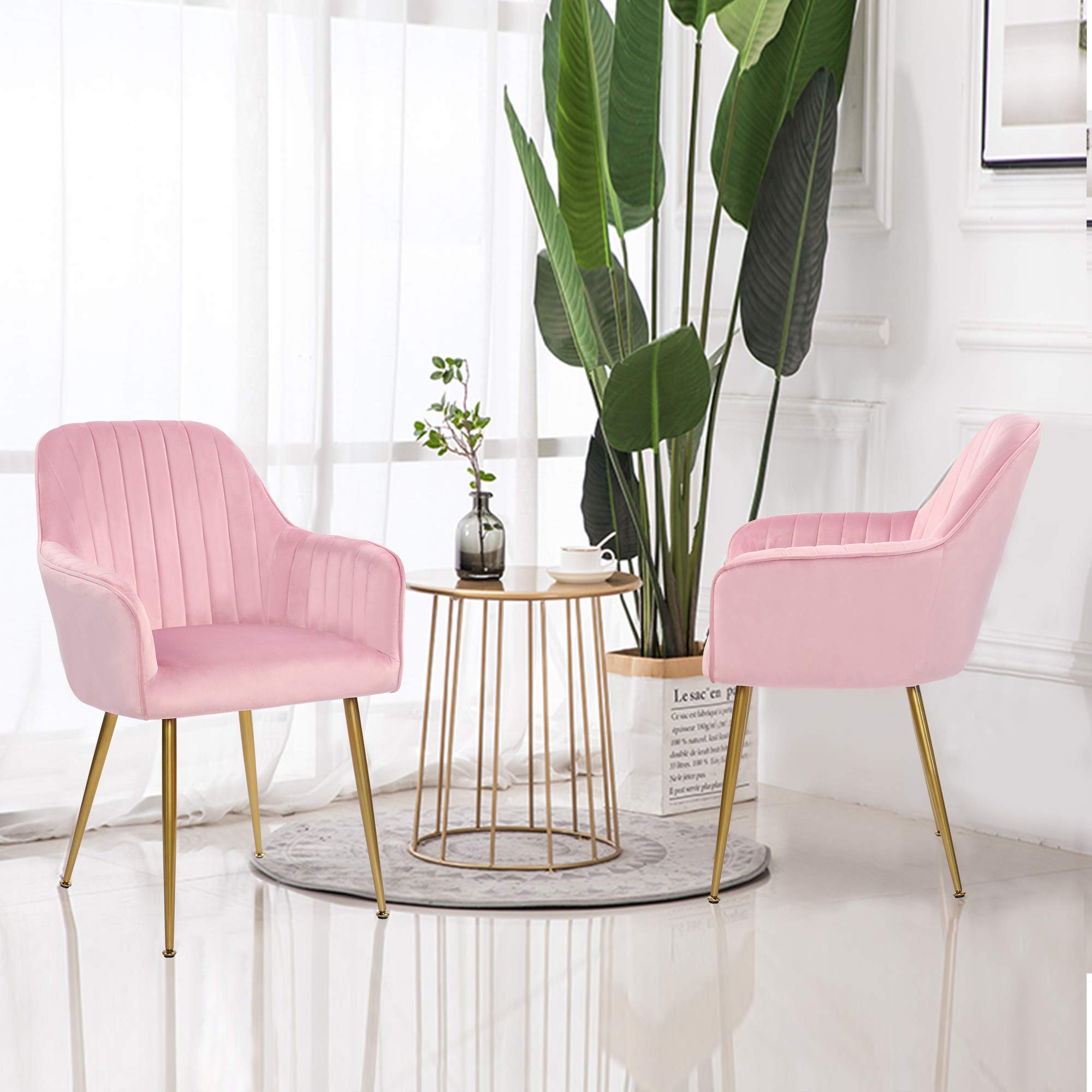 Luxury Set of 2 Pink Velvet Dining Chairs with Gold Plated Legs - Upholstered Accent Chairs for Living Room, Dining Room & Home Decor | Modern Comfort Seating for Entertaining Guests