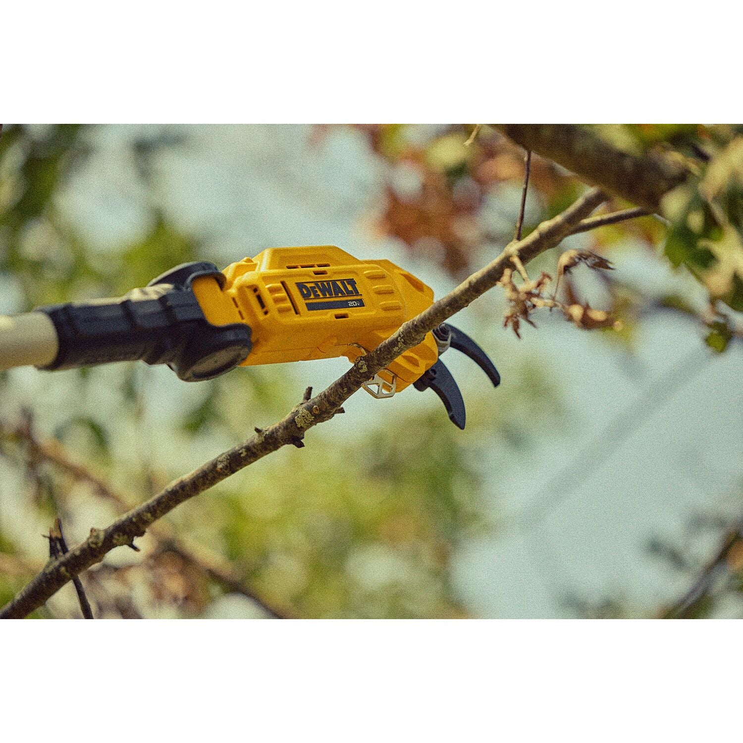 DEWALT DCPPR320D1 20V MAX Cordless Pole Pruner Kit - Battery Powered Tree Trimmer for Landscaping, Gardening & Yard Maintenance