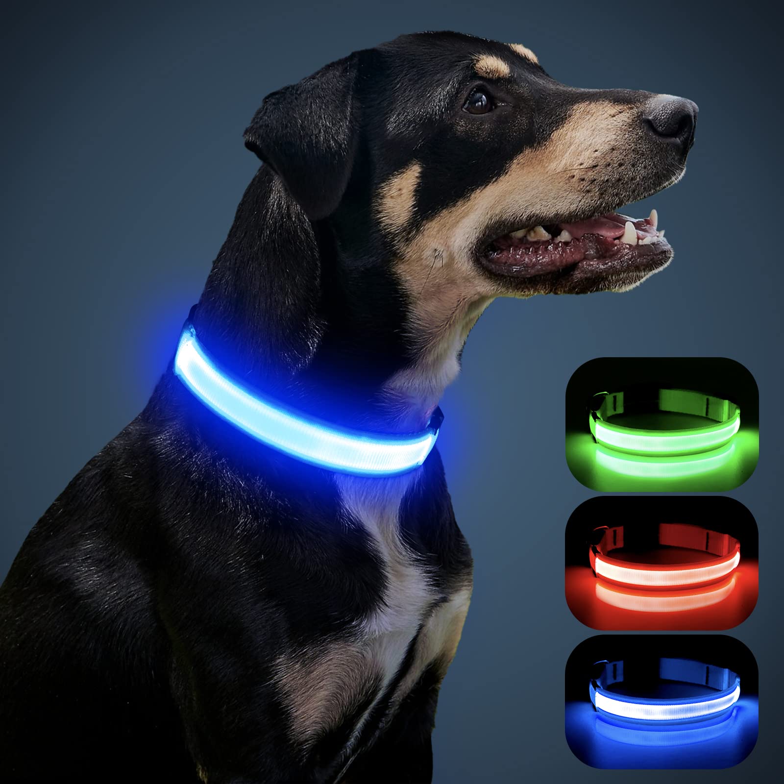 DLitk LED Dog Collar - USB Rechargeable, Adjustable Glow Collar for Small Medium Large Dogs - Blue Light Up Safety Collar for Night Walking, Jogging & Outdoor Adventures