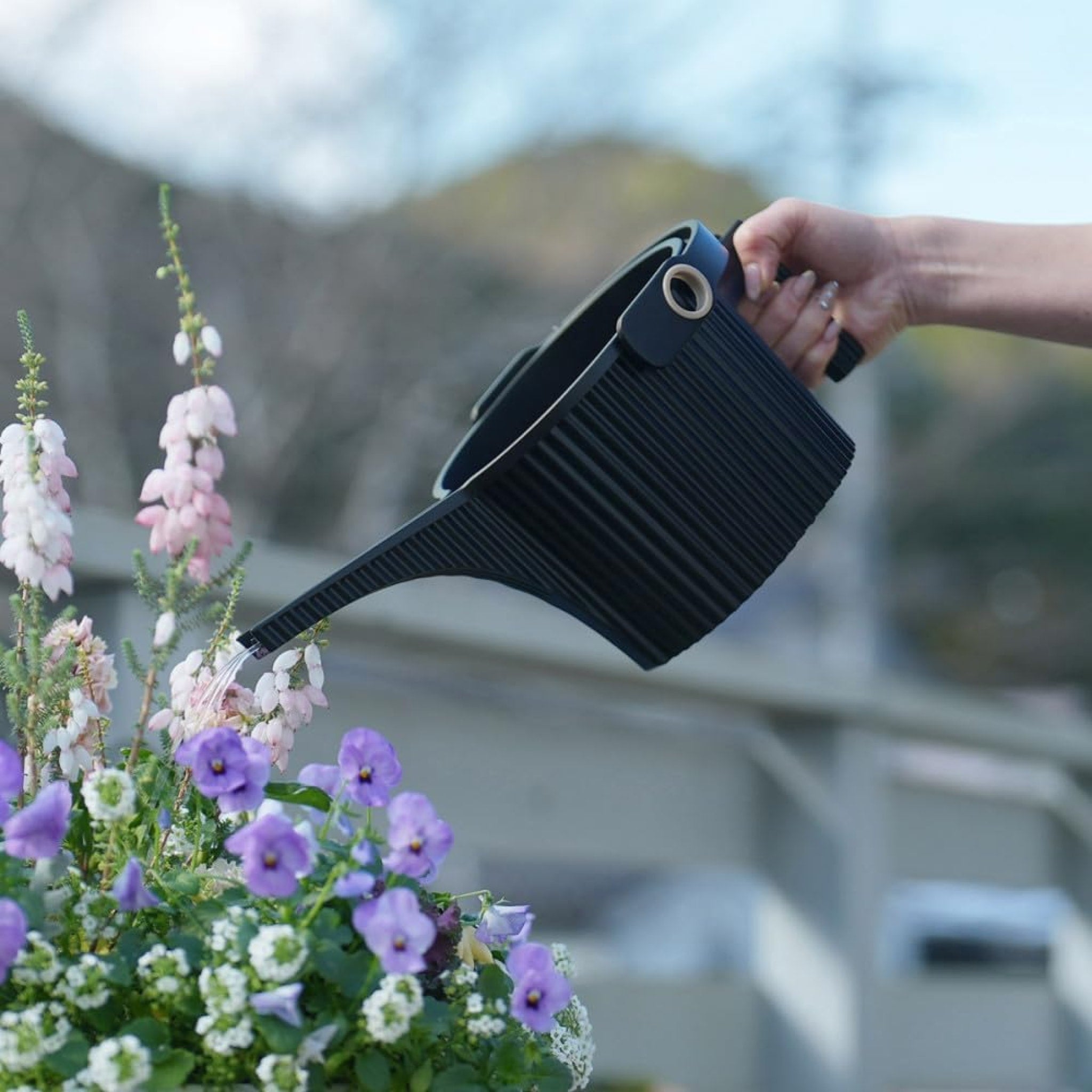 HACHIMAN KASEI 1.5L Small Garden Beetle Watering Can - Black | Perfect for Indoor Plants, Outdoor Flowers & Herb Gardens