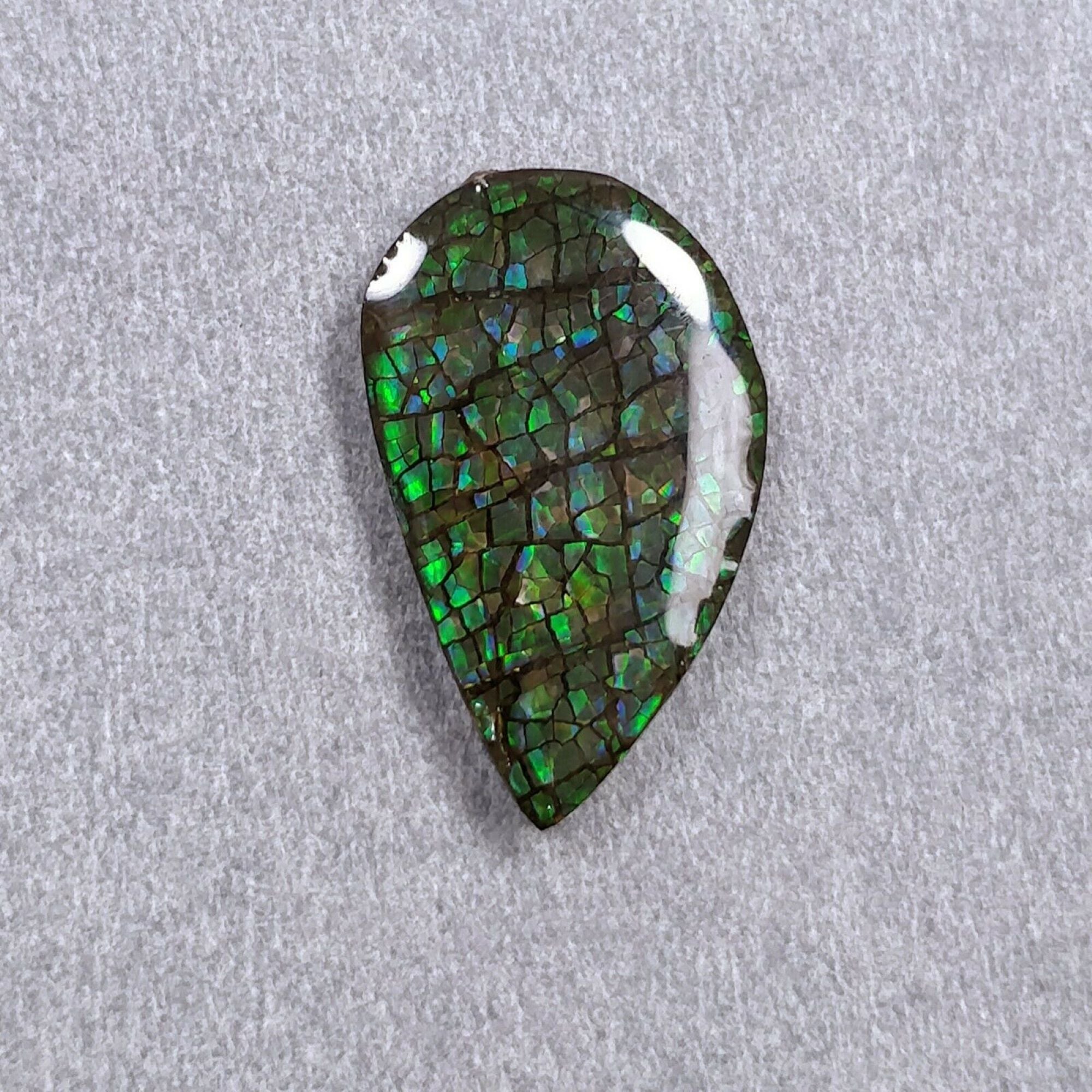 Natural AMMOLITE Gemstone Cabochon - Bi-Color Fossilized Shell Jewelry Making Stone (23x14mm or 36x16mm) for Pendants, Rings & Unique Handmade Jewelry Designs