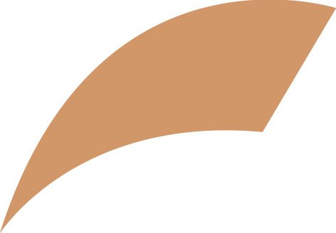 Sun Bronze