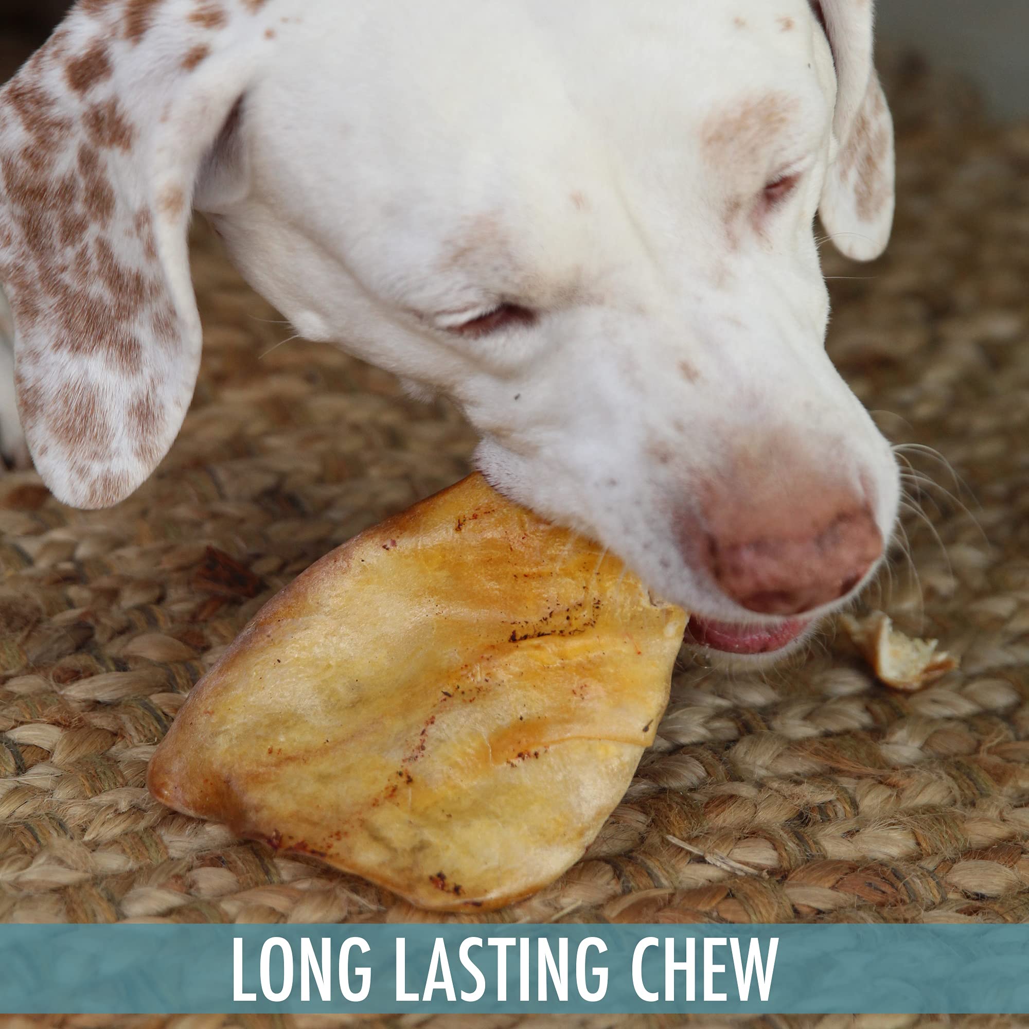 All Natural Water Buffalo Dusted Ear Dog Chews - 20 Piece Value Pack | Grain Free Dog Treats | Healthy Alternative to Pig Ears & Rawhides | Perfect for Training, Teething & Dental Care