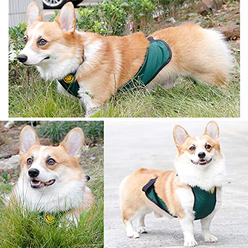 Waterproof Dog Belly Vest - Warm Pet Apron Cover Protector for Small Dogs, Puppies & Corgis - Ideal for Cold Weather, Indoor/Outdoor Use & Post-Surgery Protection