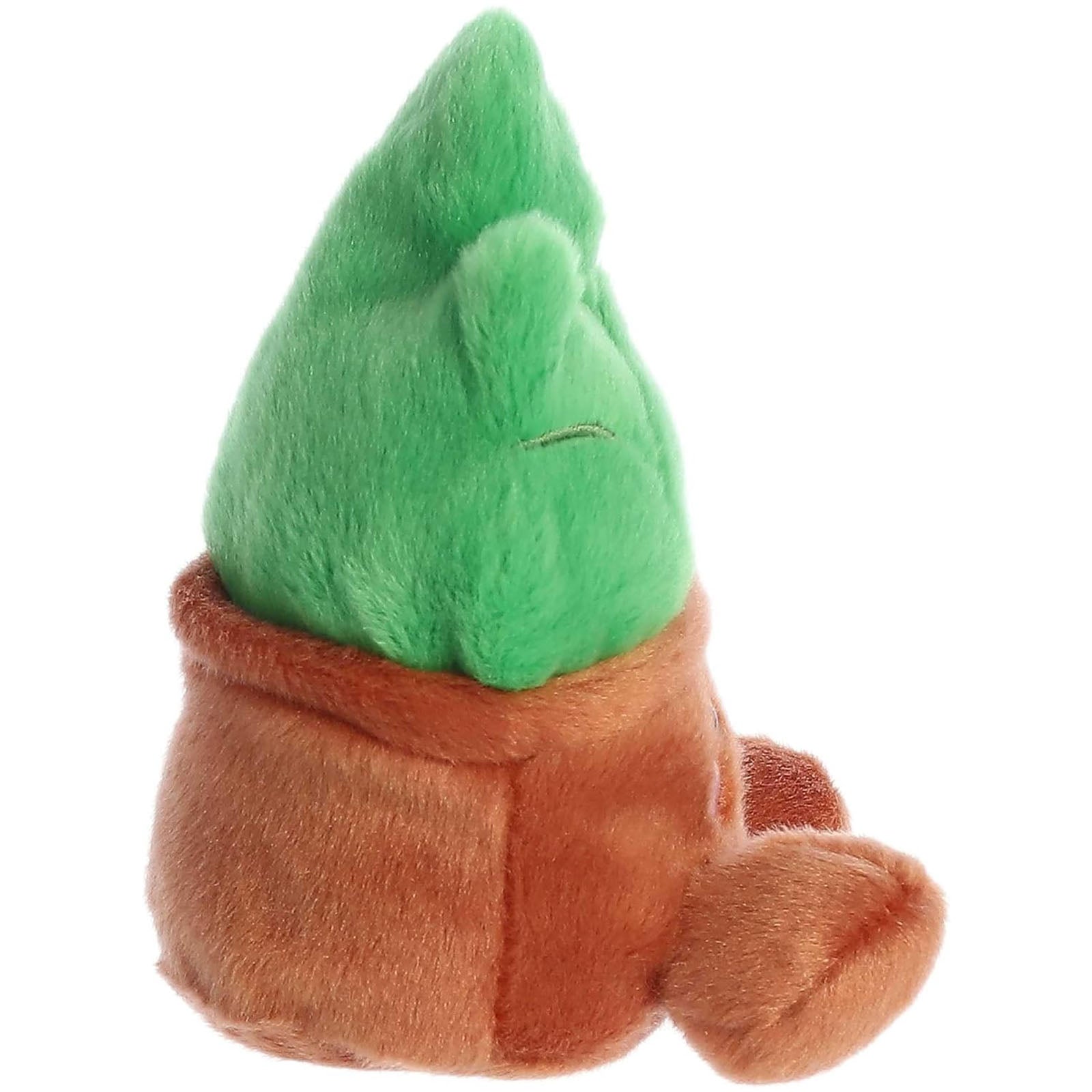 Aurora Gigi the Succulent 5