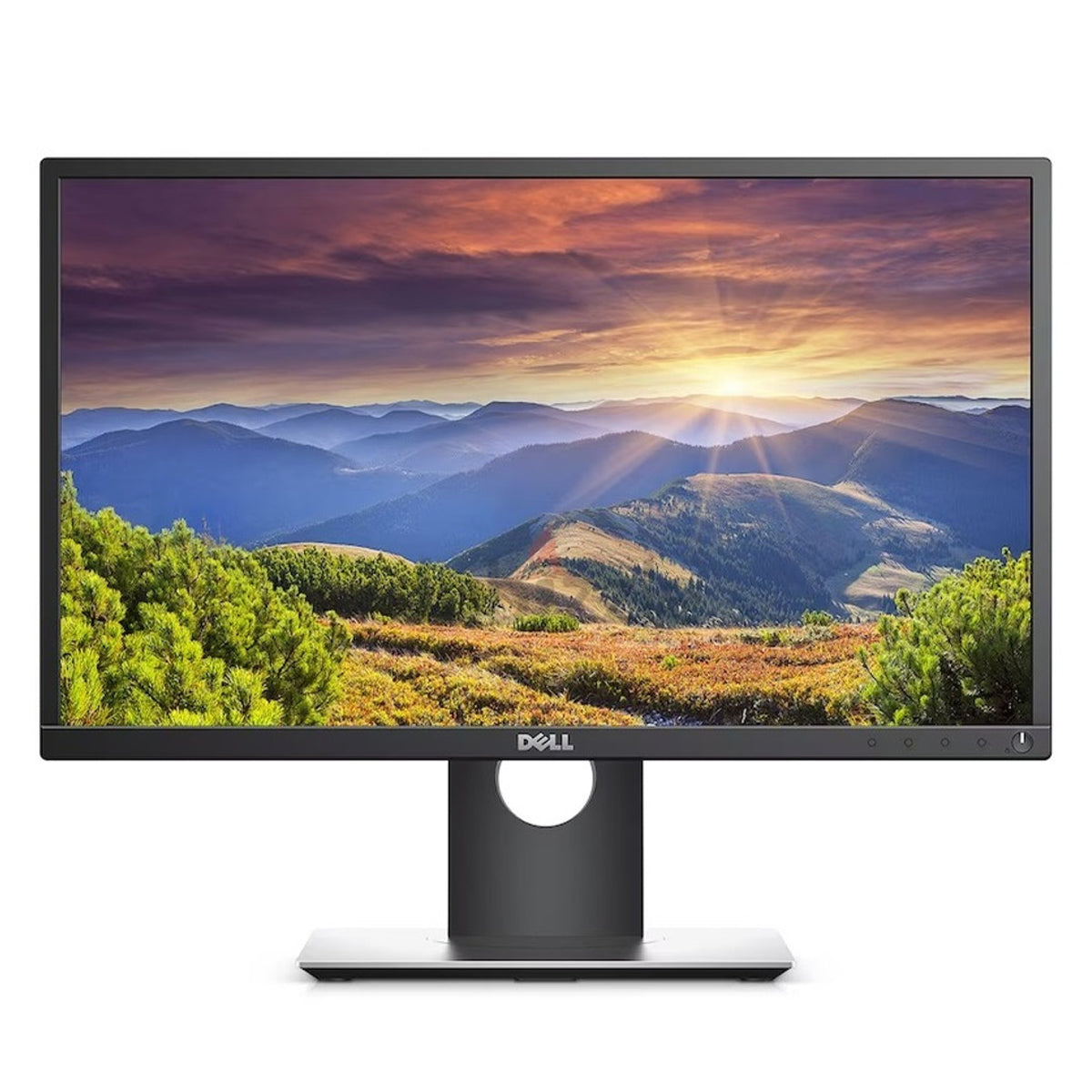 Dell Professional P2018H 19.5