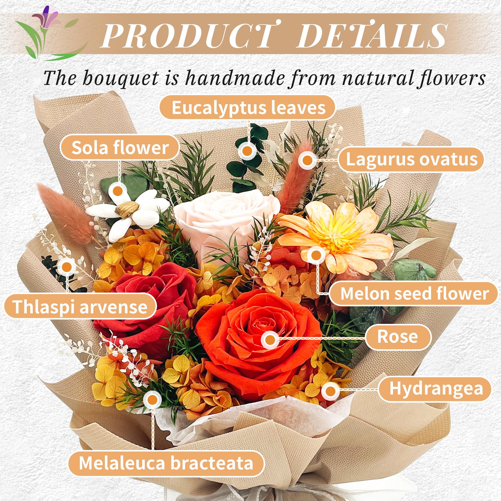 QOEAZY Preserved Rose Bouquet in Gift Box - Long Lasting Flowers for Delivery, Perfect Gift for Women, Mom, Grandma - Ideal for Birthdays, Anniversaries & Special Occasions