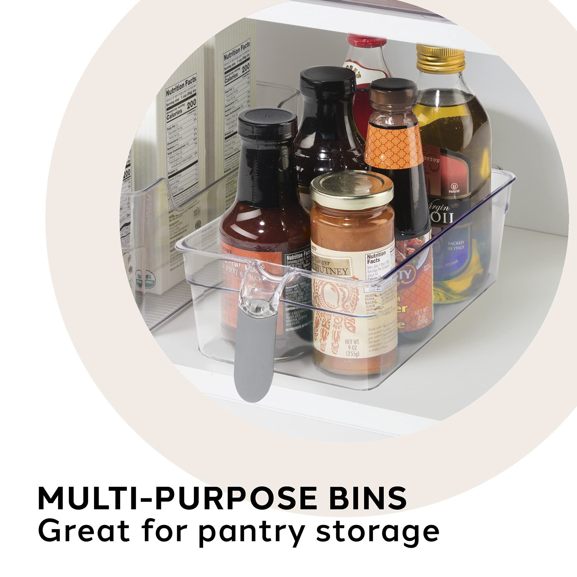 Oggi Set of 2 Clear Plastic Storage Bins with Handles - 11.75